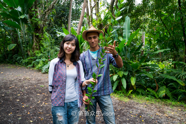 揭秘金银岛宝藏之谜,金银岛神秘之谜