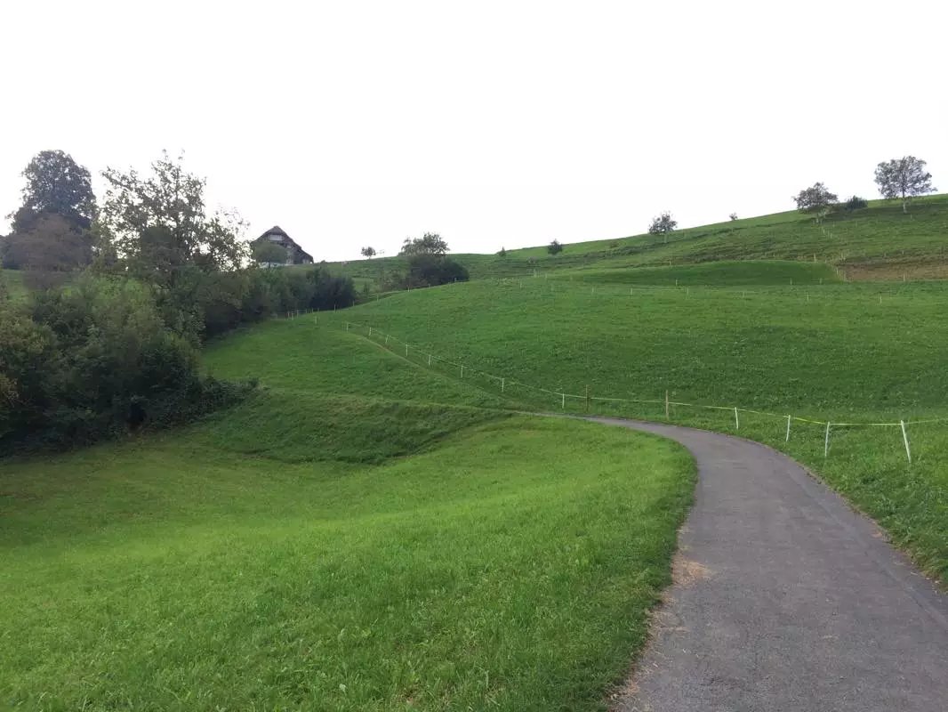 蓝瘦香菇在这里视频,蓝瘦香菇在法国