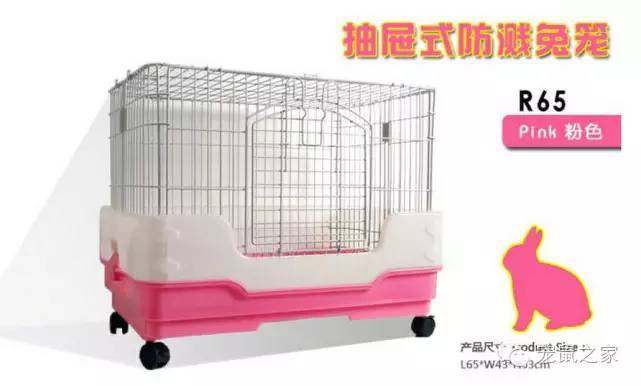 豚鼠各类饲养装备优缺点汇总之上篇