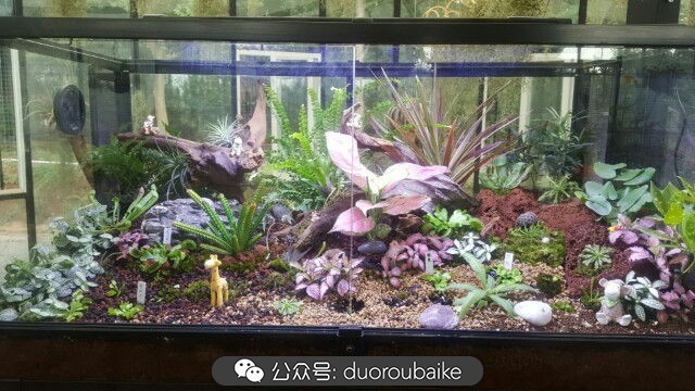 向阳的玻璃花房,玻璃花房设计建造