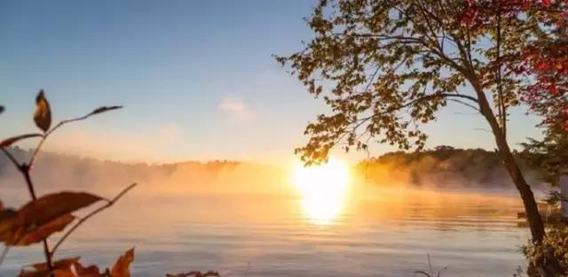 你们都错了，其实加拿大的秋季才是最厉害的时装大师