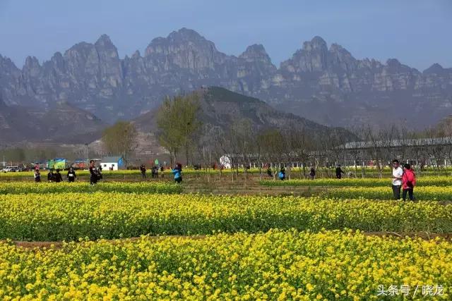 农村养殖种植与三农创业致富项目,40-50岁创业项目适合农村的