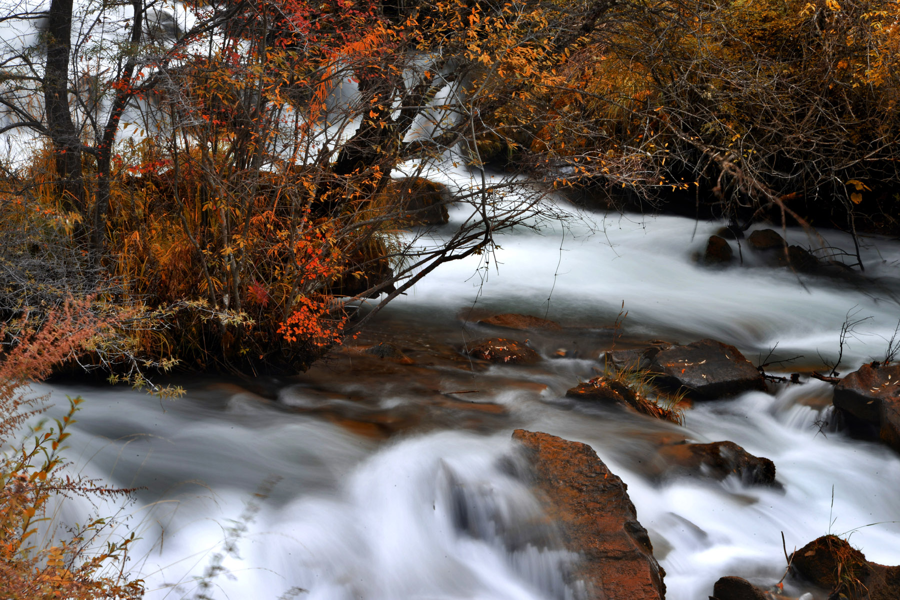 四川雅安宝兴夹金山天气预报,赞美宝兴夹金山红叶