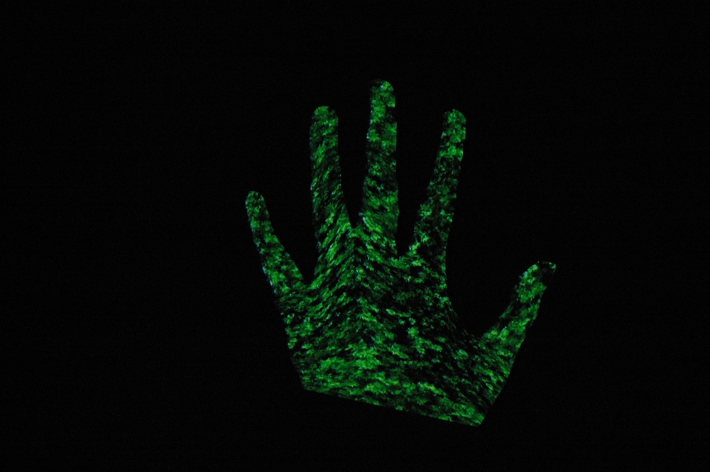 电视OUT啦！1000多快买个神画小媚在家看电影