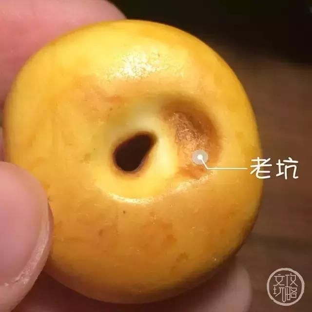 老蜡有什么缺点,老蜡有灵性吗