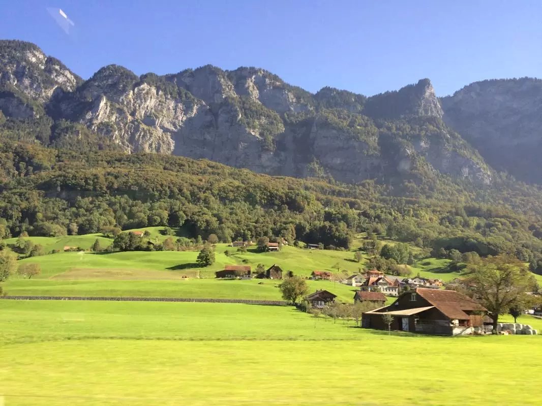 蓝瘦香菇在这里视频,蓝瘦香菇在法国
