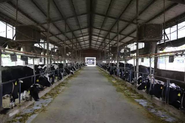 美丽安徽行视频,美丽安徽行齐云山