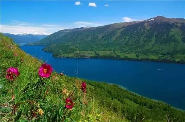 中国十大洗肺圣地,洗肺的地区有哪些