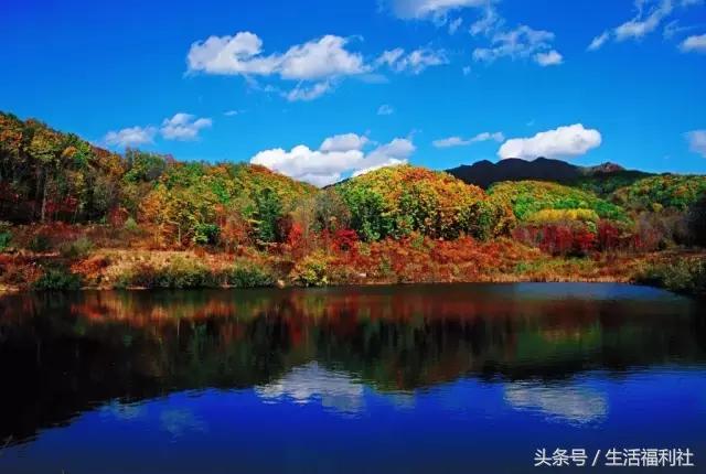 什么能够代表哈尔滨,哈尔滨代表人