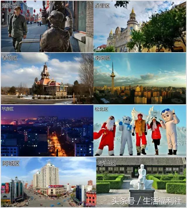 什么能够代表哈尔滨,哈尔滨代表人