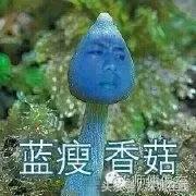 女子同时交7个男朋友,一女子同时交20个男朋友