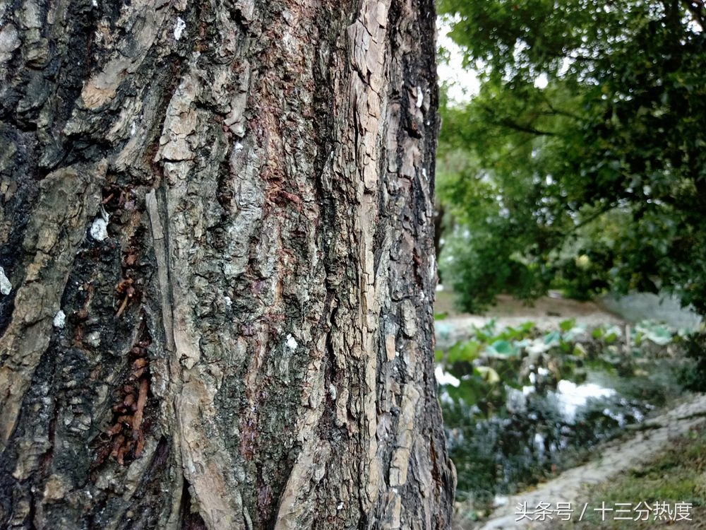 魅蓝手机u20深度评测,以前的iphone4s