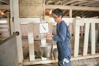 比哈佛还难进的大学——深泉学院(家长们都来学习一下吧)