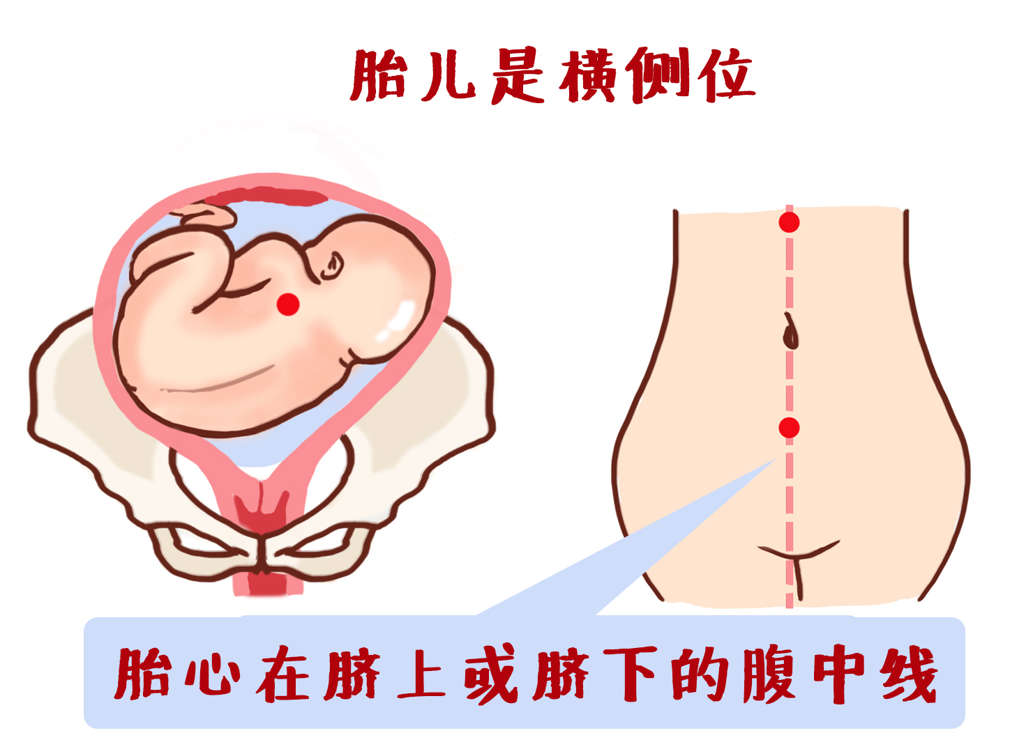 产检全过程详细讲解 (最全产检时间表新手妈妈必收藏)