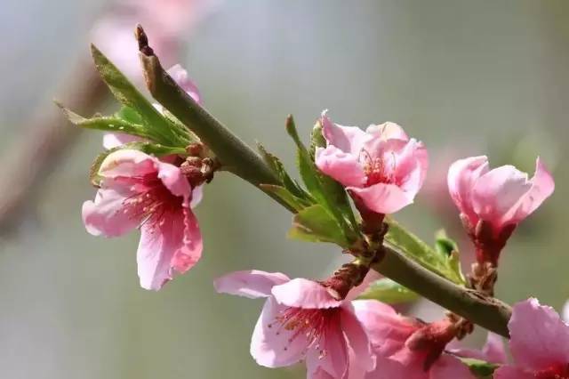 中国城市综合排名五十强兰州,兰州跌出百强城市