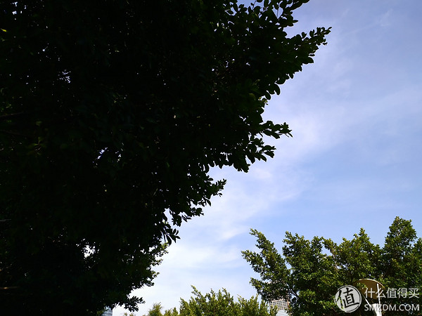 小米5s怎么样,小米s55对比小米555