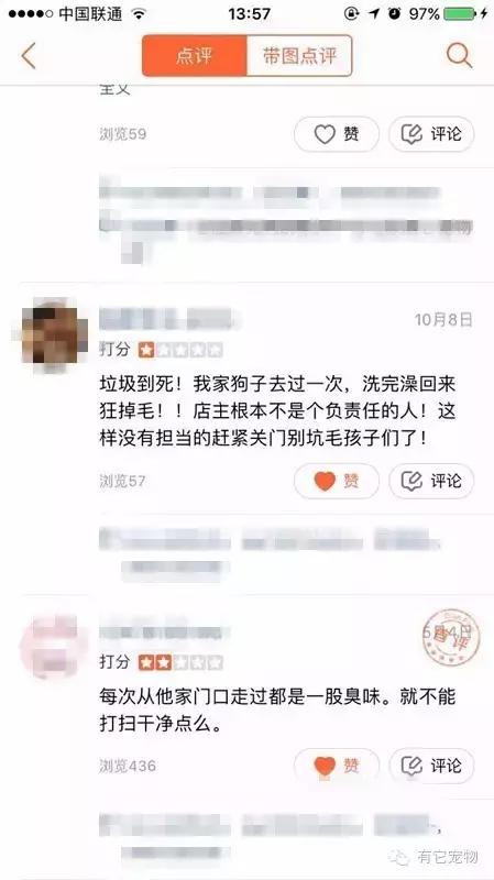 无良宠物店狗狗死亡,无良宠物店让人寒心