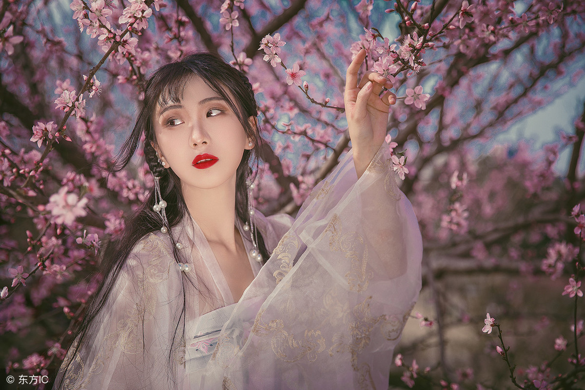 小说：她穿越修真世界，花二十块钱买了一个奴隶，却差点被他所伤