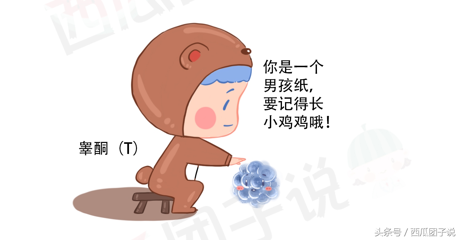 性激素6项对女性身体有什么影响,女生的性激素6项要什么才标准