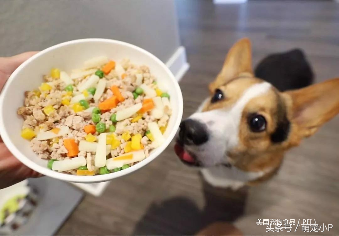 网红狗粮价格表,网红推荐的狗粮