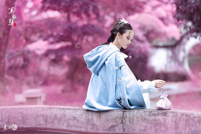 缁戝畾瀹夸富灏忚,瀹夸富缁戝畾绯荤粺灏忚