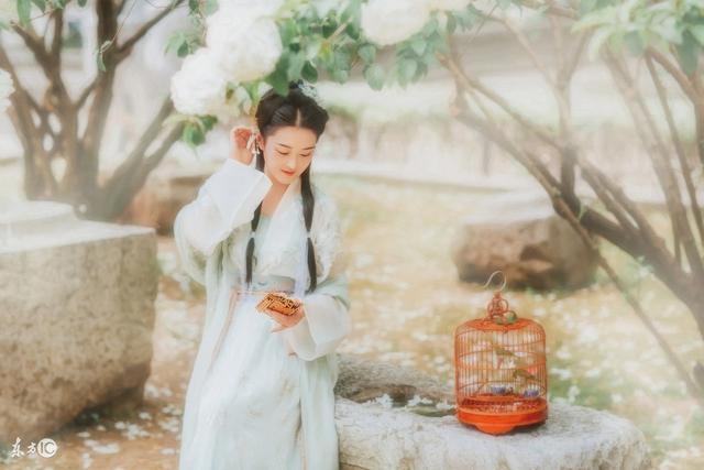 儿媳怀孕被公婆宠上天小说,婆婆和儿媳同时怀孕电视剧