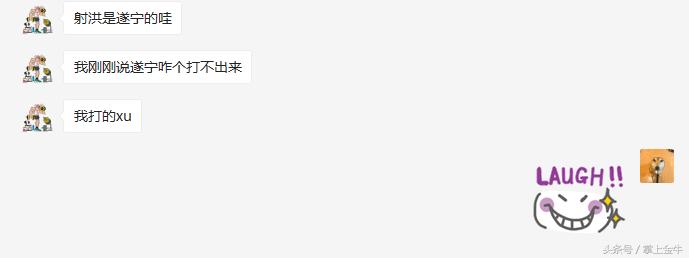 输入法只能打拼音汉字打不出来,成语输入法打不出来的词