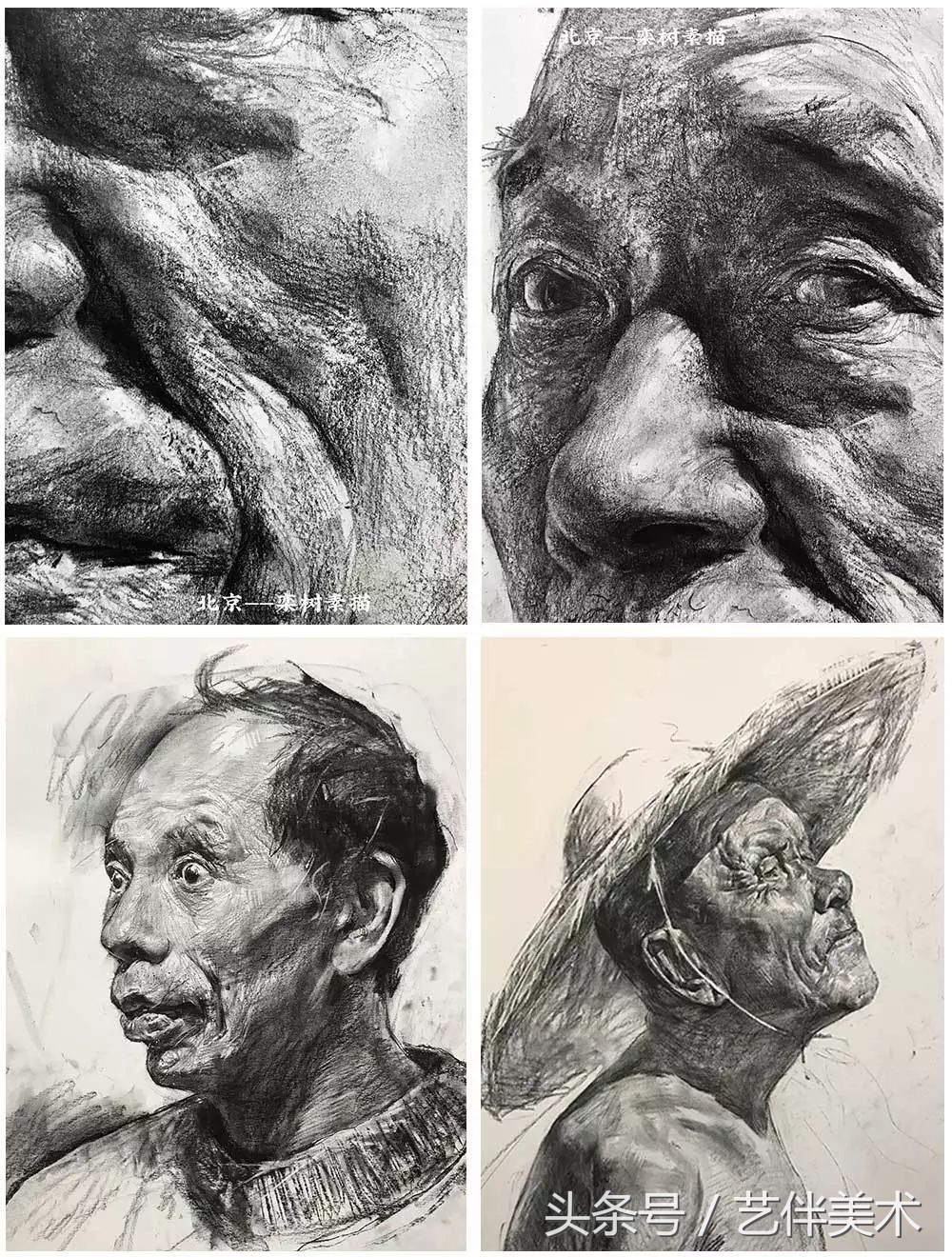 栾树画室口碑怎样,栾树画室地址在哪里