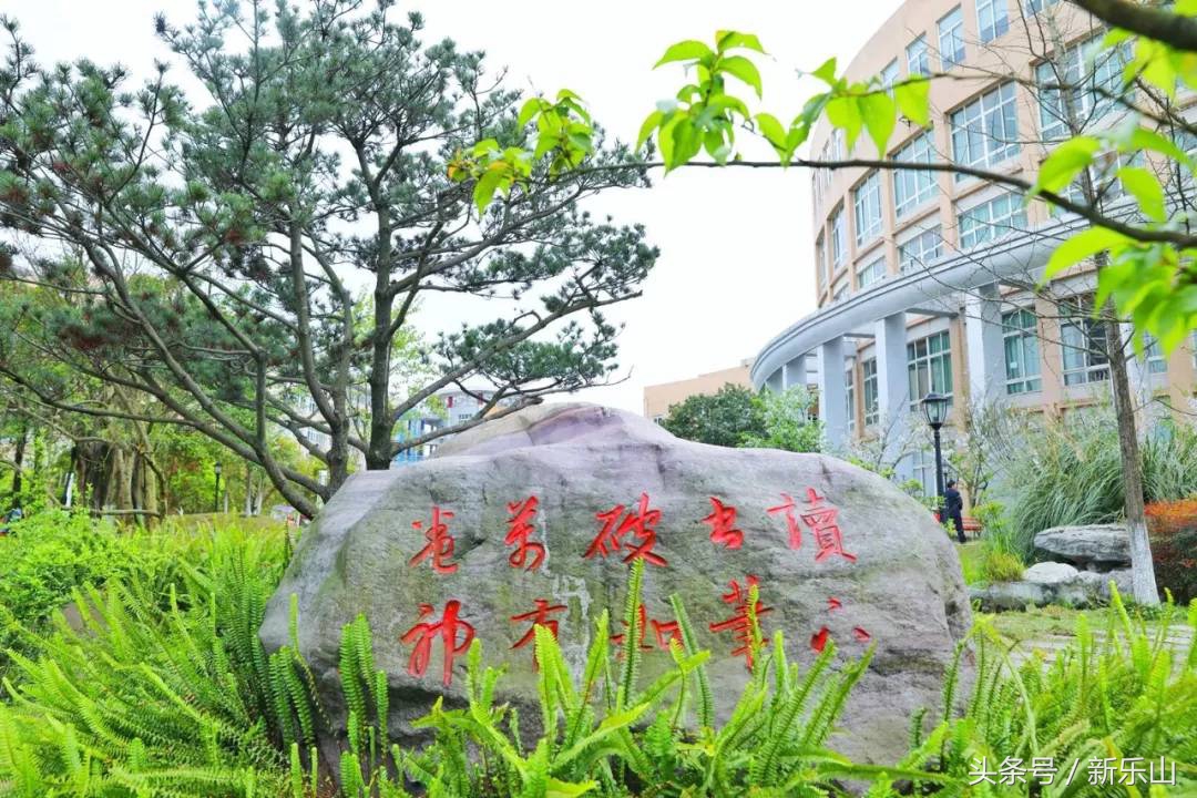 乐山的春天有多美,没去过乐山大佛但感觉去过