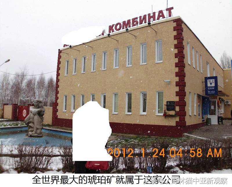 野林猫之-俄罗斯琥珀之都探秘