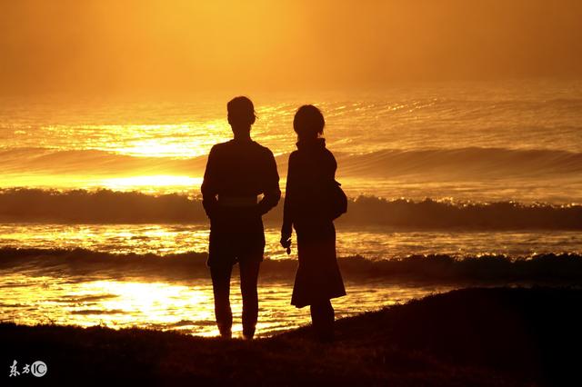 小说：在一个月黑风高的夜里，男女主发生了关系，以项链定情