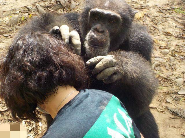 80年代头上为什么会有虱子,30年前都有虱子
