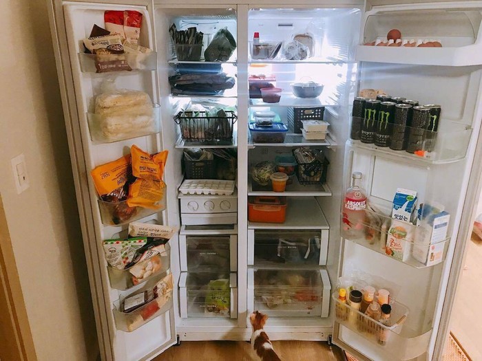 国产家电和进口家电的优缺点,西门子家电器优缺点有哪些