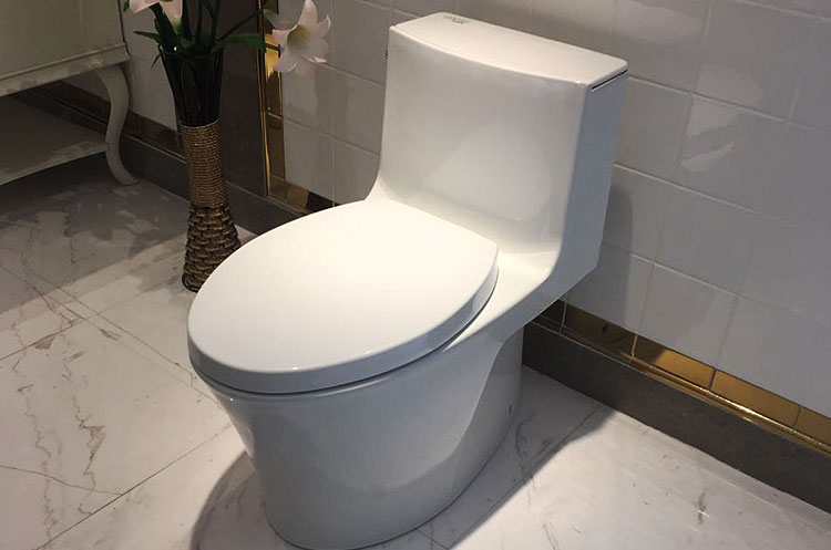 国外高价卖马桶,中国马桶出售国外