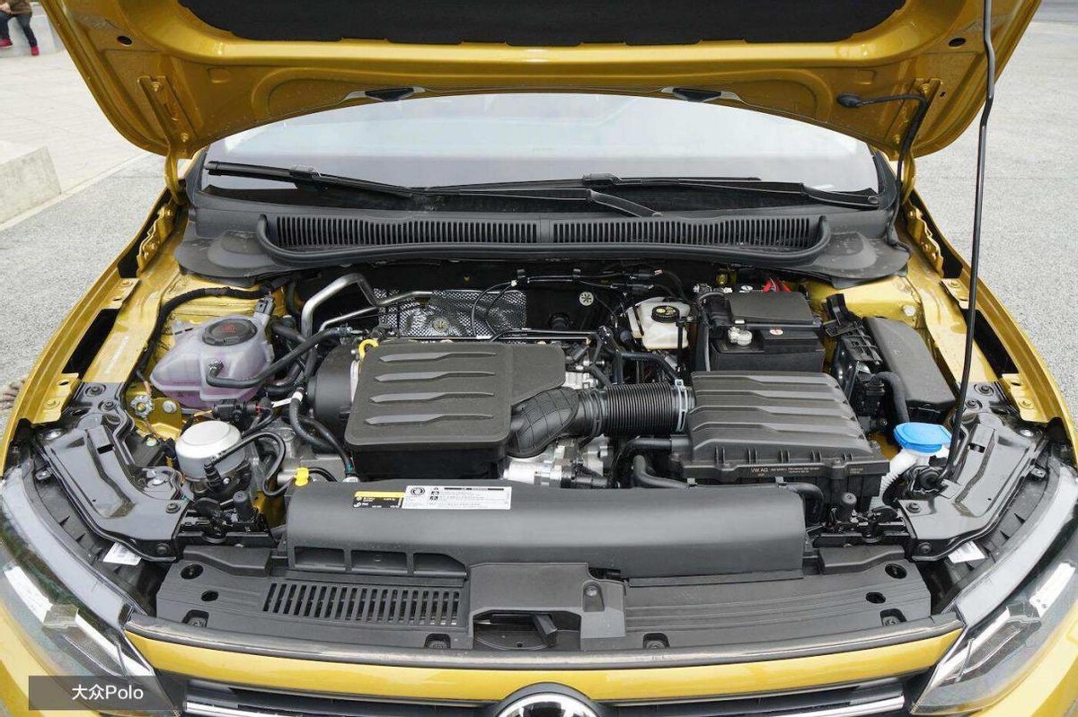 最值得入手的欧拉,欧拉好猫poloplus