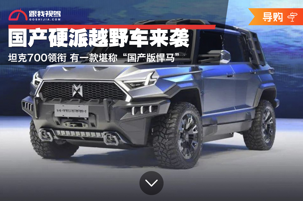 大型硬派越野车军用版,坦克700是硬派越野车吗