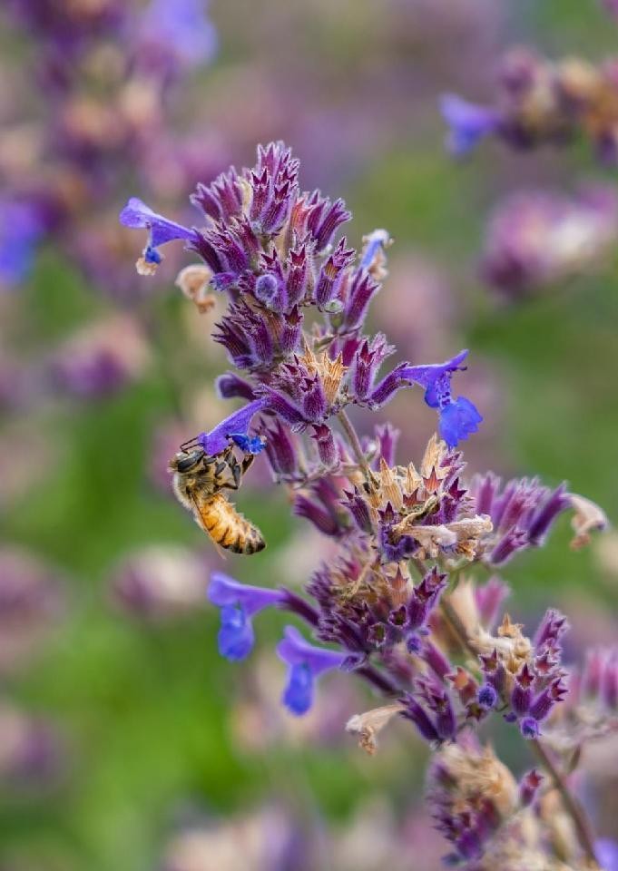 川西小环线4–5天自驾攻略,我的旅行日记川西自驾游