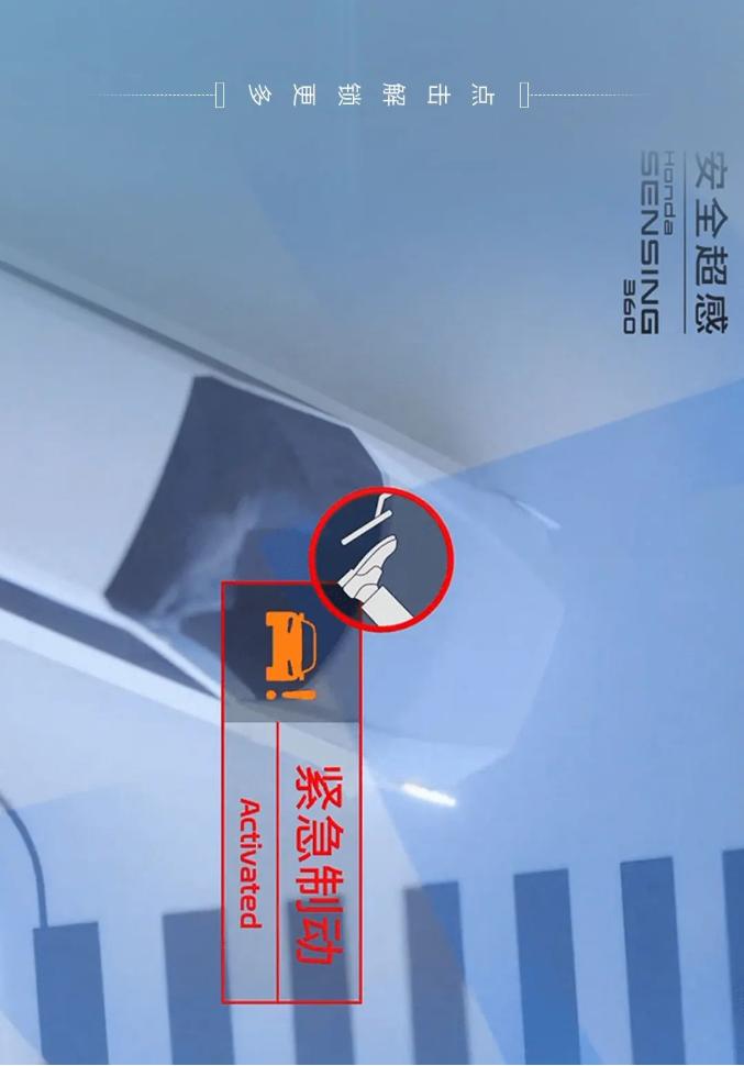 什么是安全感呢女生,什么是安全感最好的回答