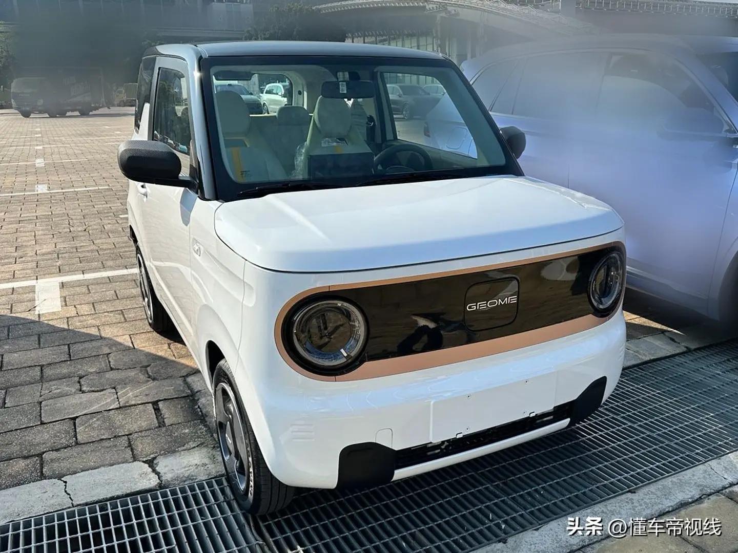 吉利熊猫mini电动汽车会再降价吗,吉利熊猫mini新春版售价