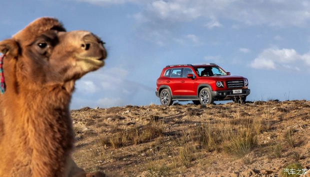 哈弗大狗还能进化成硬派越野车吗,哈弗大狗解锁了哪些隐藏实力