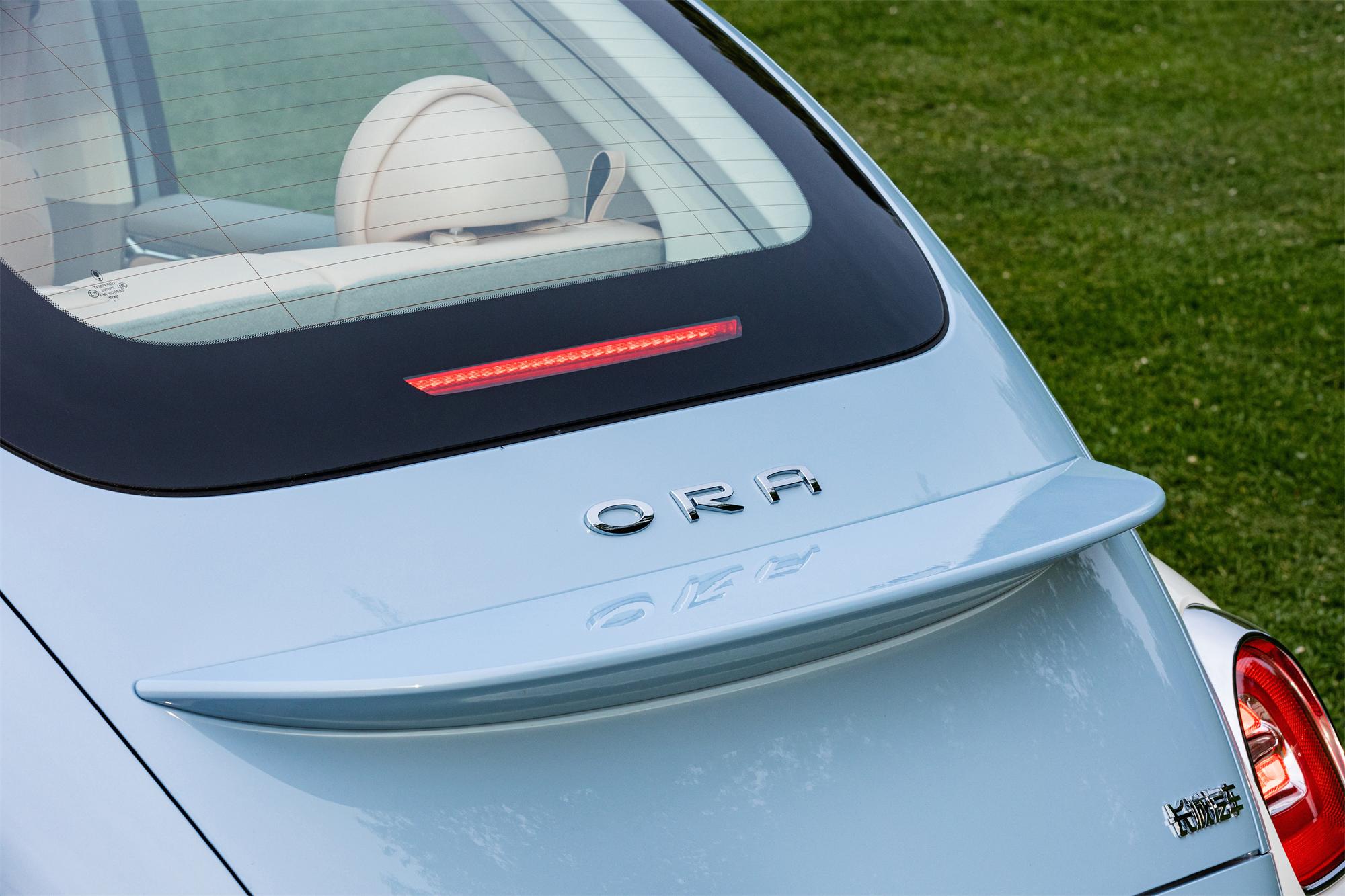 欧拉芭蕾猫值不值得买,欧拉芭蕾猫的缺点和不足