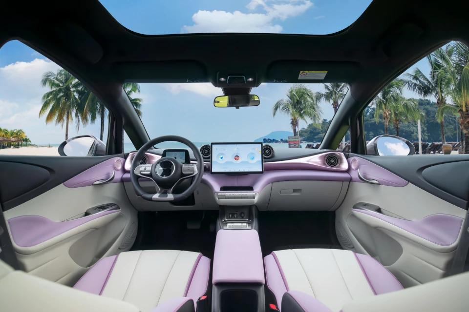 比亚迪海豚自由版纯色贝贝灰,海豚来啦