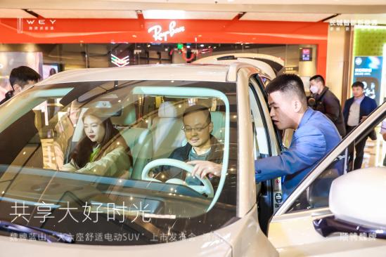 魏牌蓝山降价多少入手合适,2024款魏牌蓝山纯电续航