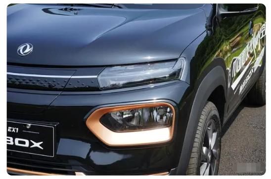 纳米box新能源车蓝色,纳米box新能源车门