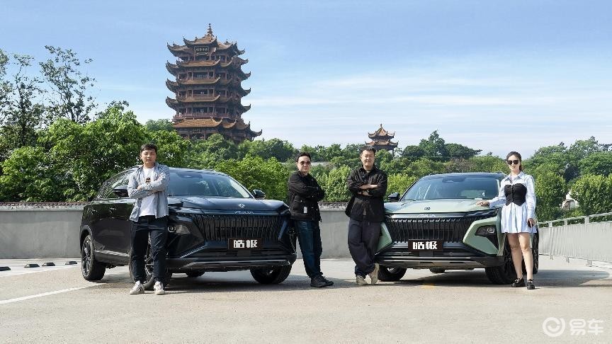 皓极混动版智能动力和智能节油,皓极混动版最低价