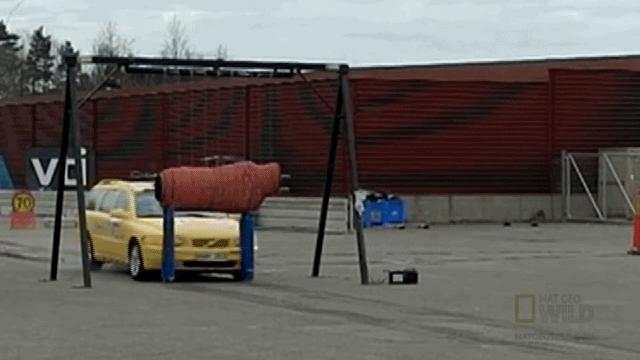 谢大脚出车祸是当场死亡吗,谢大脚车祸身亡是怎么回事