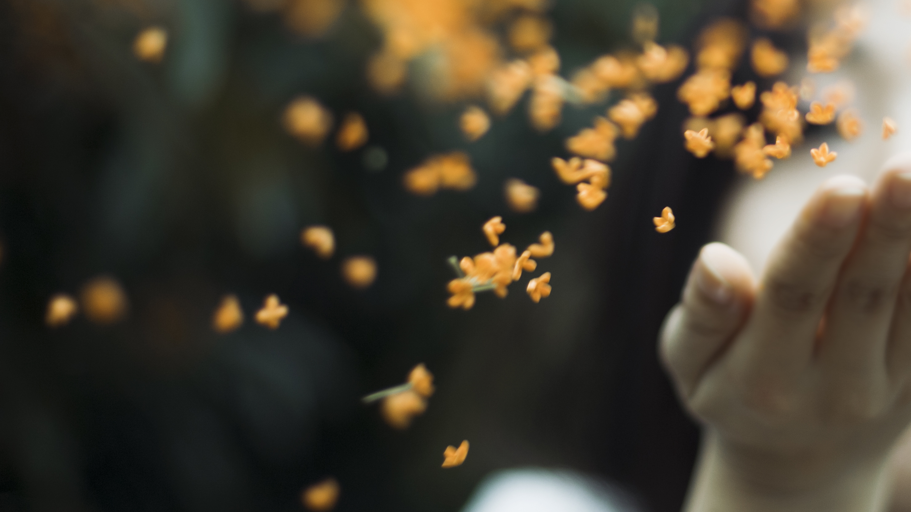 加拿大多伦多最适合居住,居住加拿大的好处