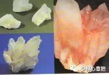 中药图片大全名称,中药图片大全带药名高清