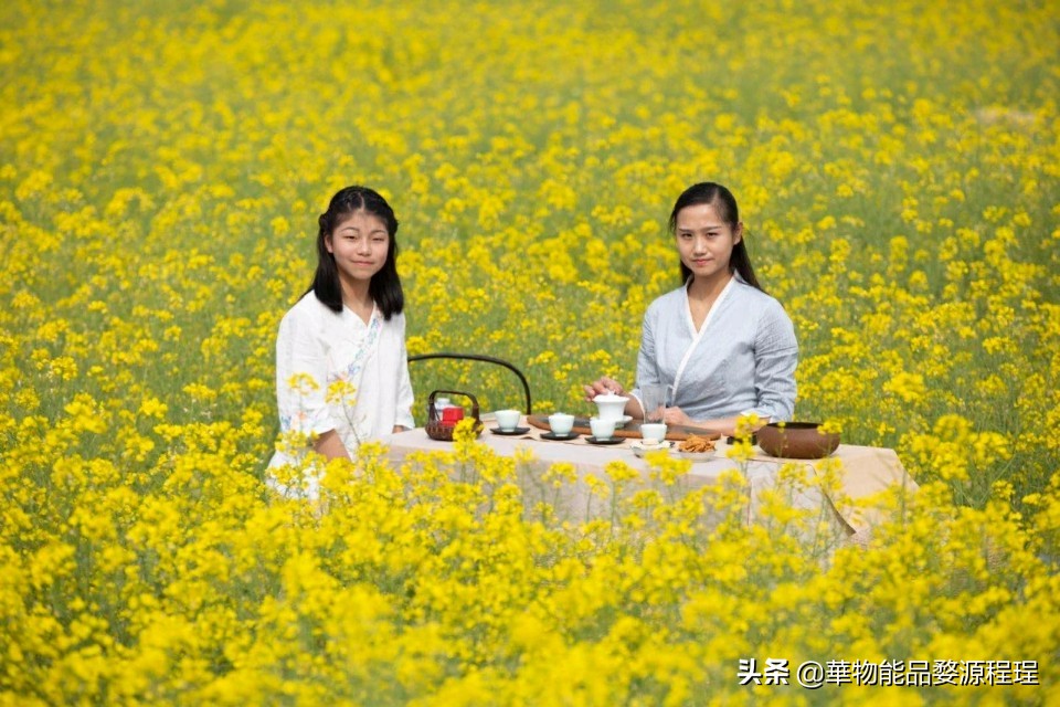 江西婺源油菜花音乐节,婺源油菜花文化节