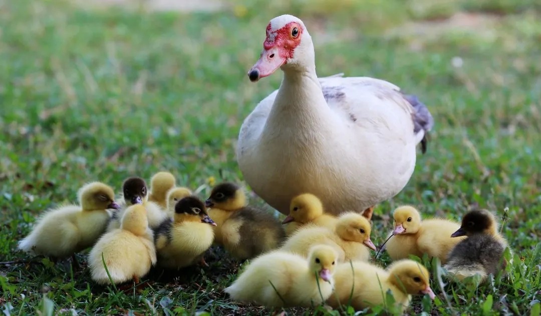 向往的大外|带你一起看大外